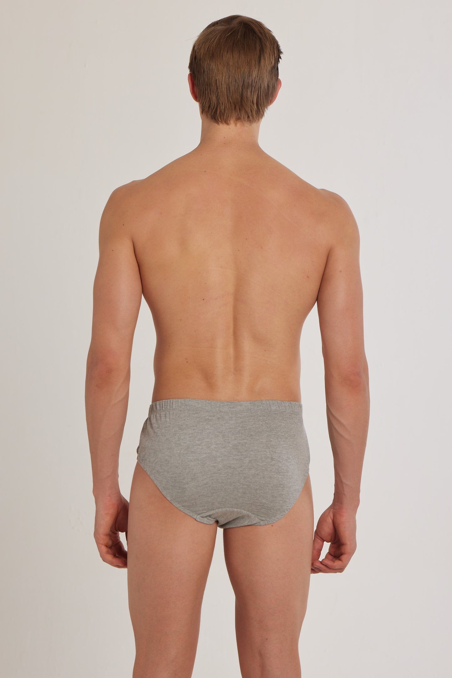 S100 Silver Cotton Brief ( Pack of 2 )
