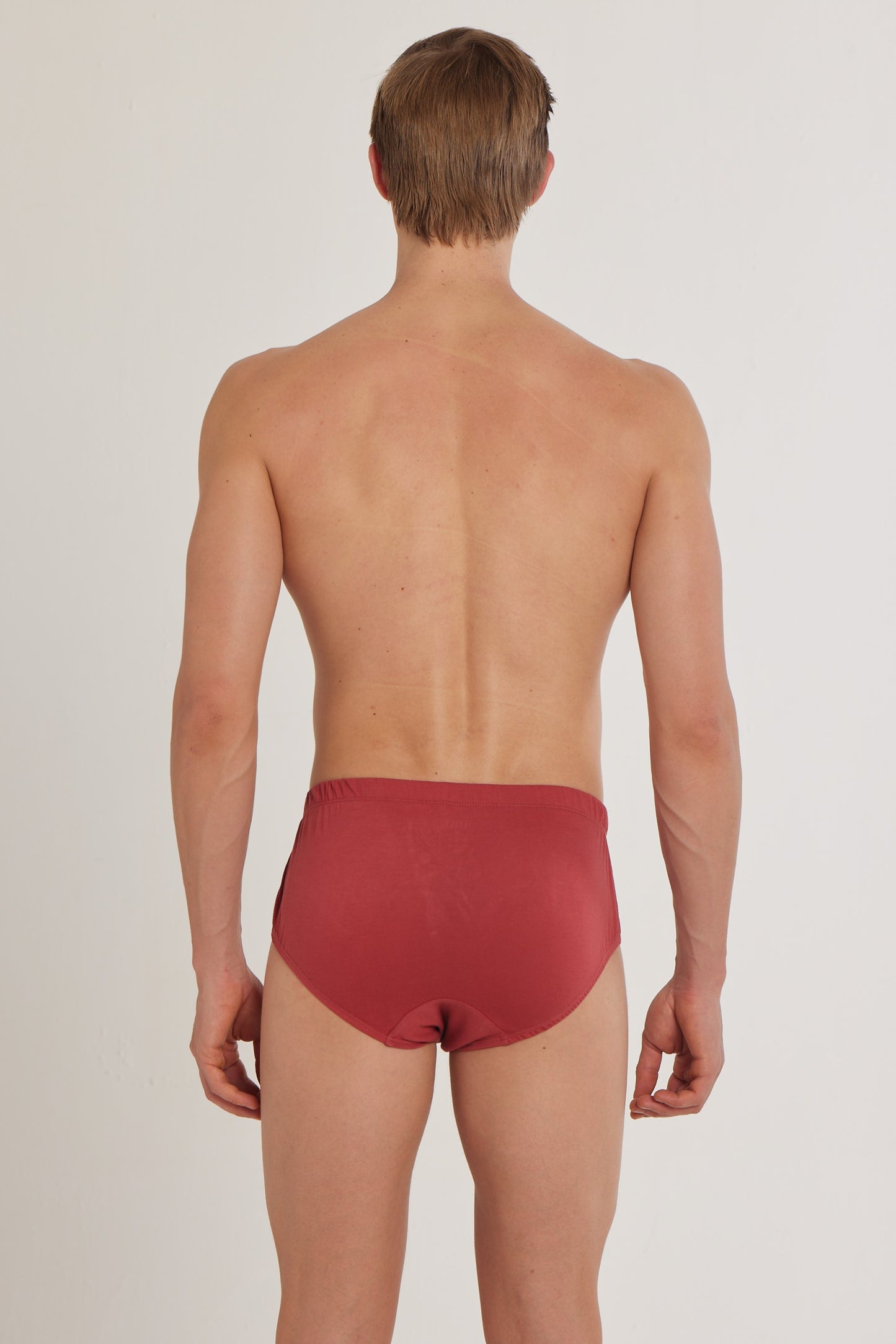 S100 Silver Cotton Brief ( Pack of 2 )