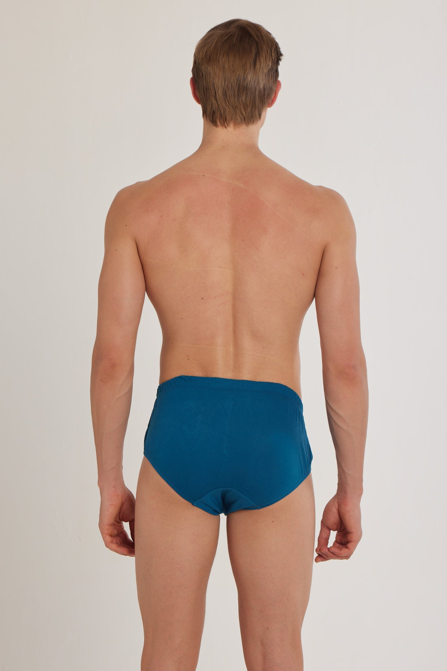 S100 Silver Cotton Brief ( Pack of 2 )