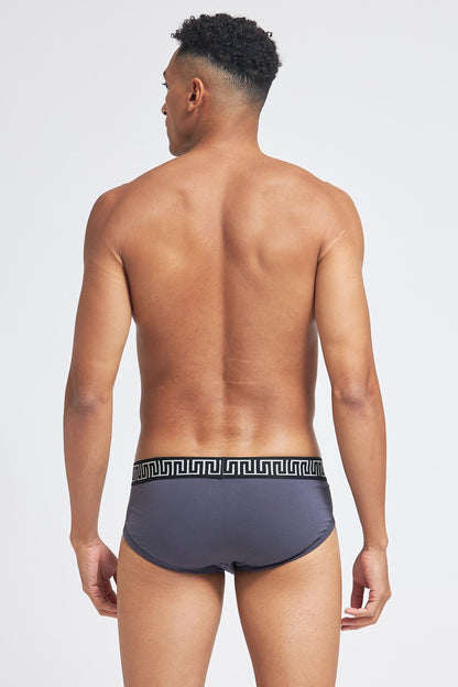 P500 Organic Cotton Brief