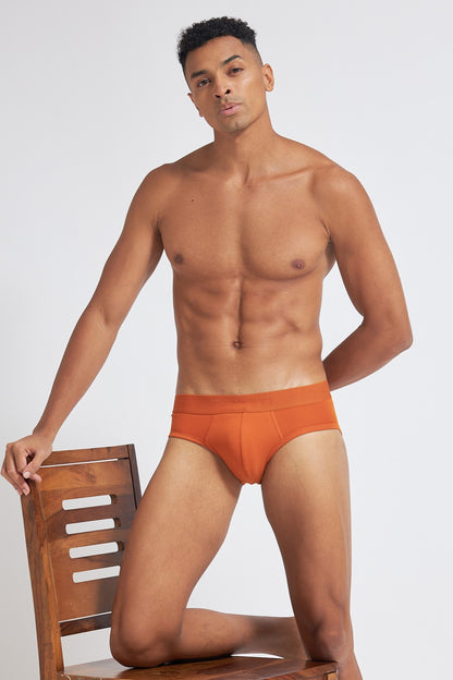 P504 Organic Cotton Brief Interlock