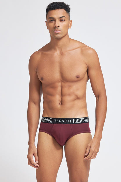 P500 Organic Cotton Brief