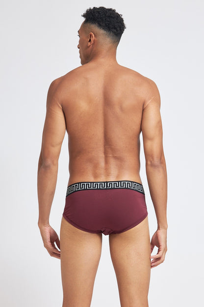 P500 Organic Cotton Brief