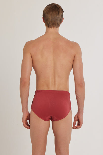 S100 Silver Cotton Brief ( Pack of 2 )