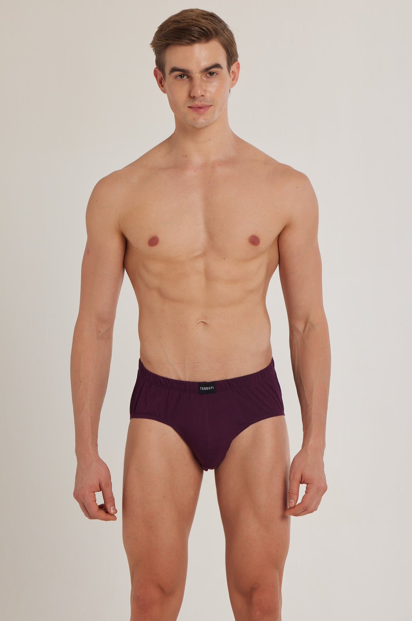 S100 Silver Cotton Brief ( Pack of 2 )