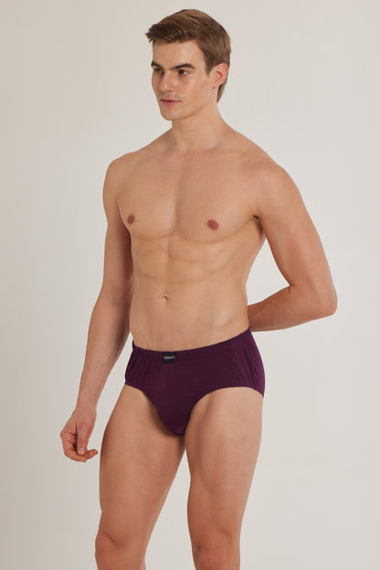 S100 Silver Cotton Brief ( Pack of 2 )