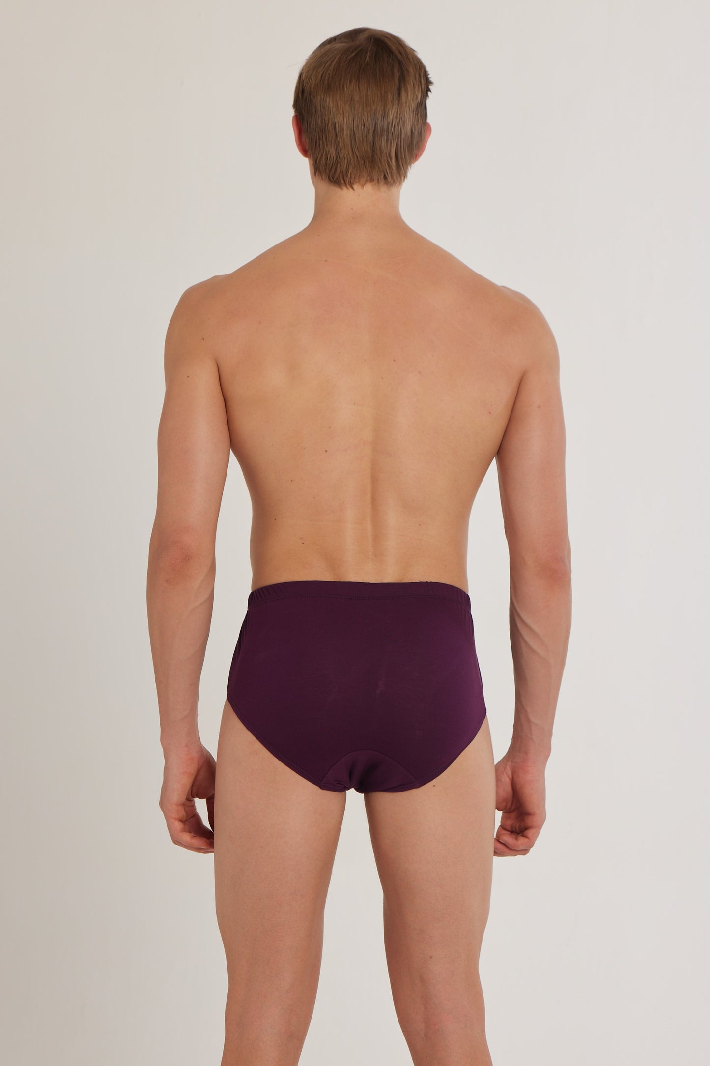 S100 Silver Cotton Brief ( Pack of 2 )