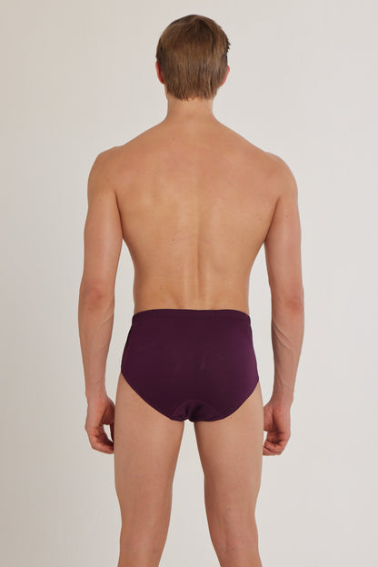 S100 Silver Cotton Brief ( Pack of 2 )